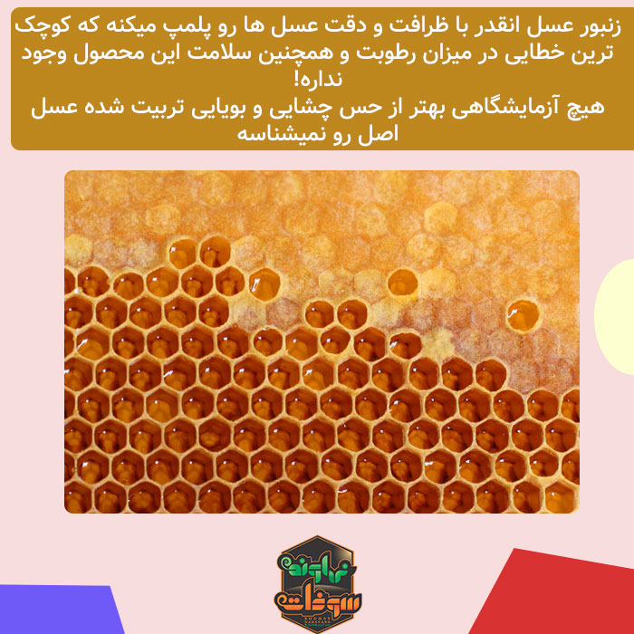 عسل چگونه تولید میشود