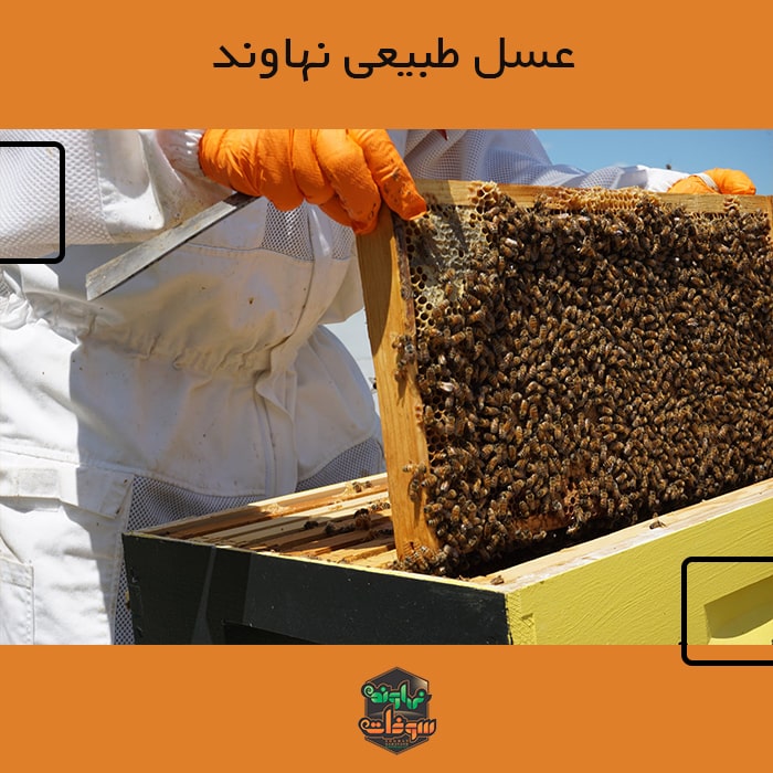 ویژگی عسل طبیعی